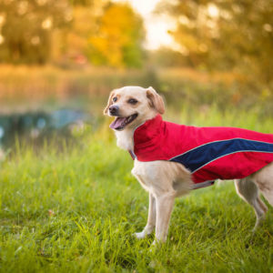 Vsepropejska Collar bunda pro psa s reflexními prvky Barva: Červená