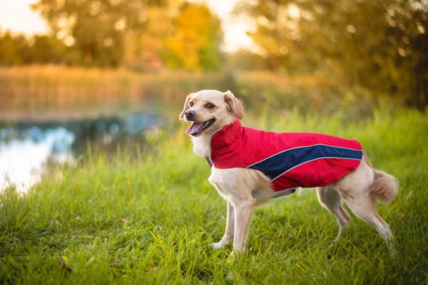 Vsepropejska Collar bunda pro psa s reflexními prvky Barva: Červená