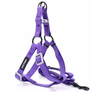 Vsepropejska Georgia postroj pro psa s vodítkem Barva: Fialová