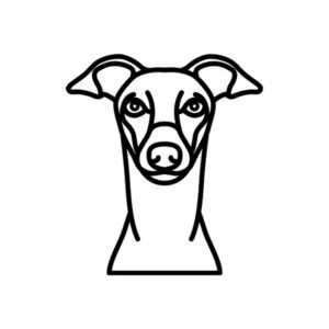 Vsepropejska Psí dekorace na zeď Plemeno: Chrt