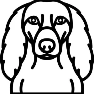 Vsepropejska Psí dekorace na zeď Plemeno: Dlouhosrstý jezevčík