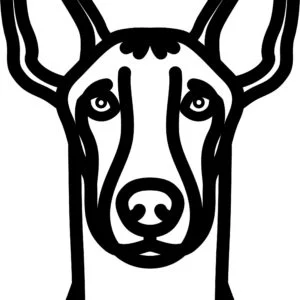 Vsepropejska Psí dekorace na zeď Plemeno: Faraonský pes