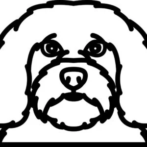 Vsepropejska Psí dekorace na zeď Plemeno: Havanský psík