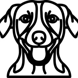 Vsepropejska Psí dekorace na zeď Plemeno: Jack Russell teriér