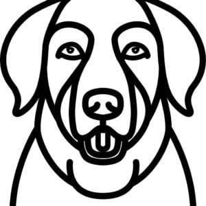 Vsepropejska Psí dekorace na zeď Plemeno: Labrador
