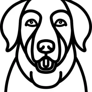 Vsepropejska Psí dekorace na zeď Plemeno: Labrador