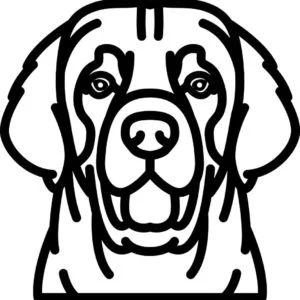 Vsepropejska Psí dekorace na zeď Plemeno: Leonberger