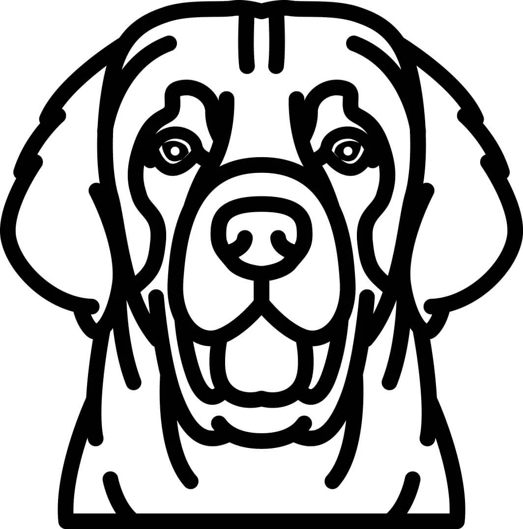 Vsepropejska Psí dekorace na zeď Plemeno: Leonberger