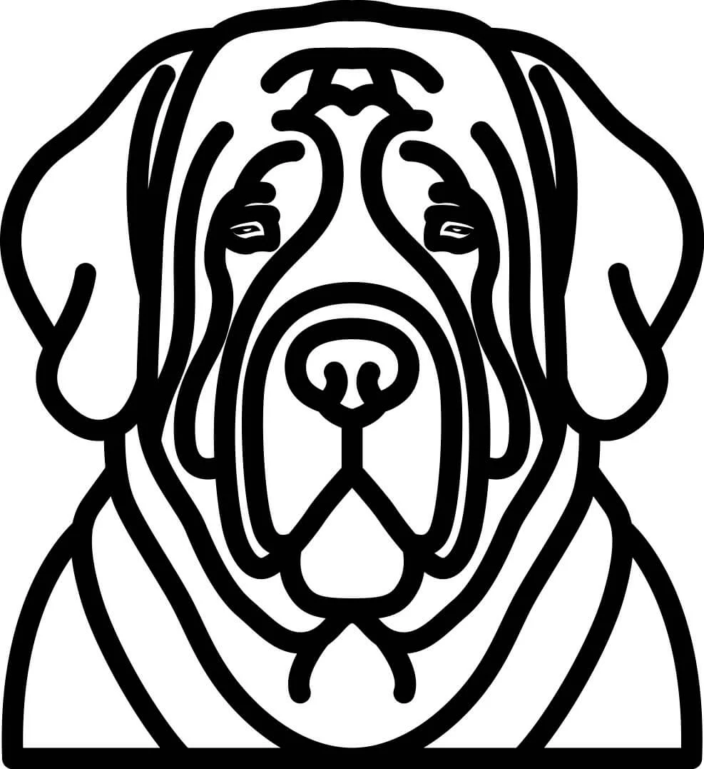 Vsepropejska Psí dekorace na zeď Plemeno: Mastif