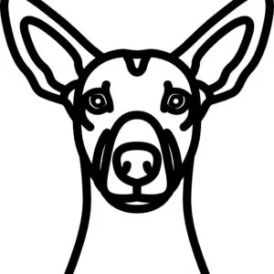 Vsepropejska Psí dekorace na zeď Plemeno: Naháč