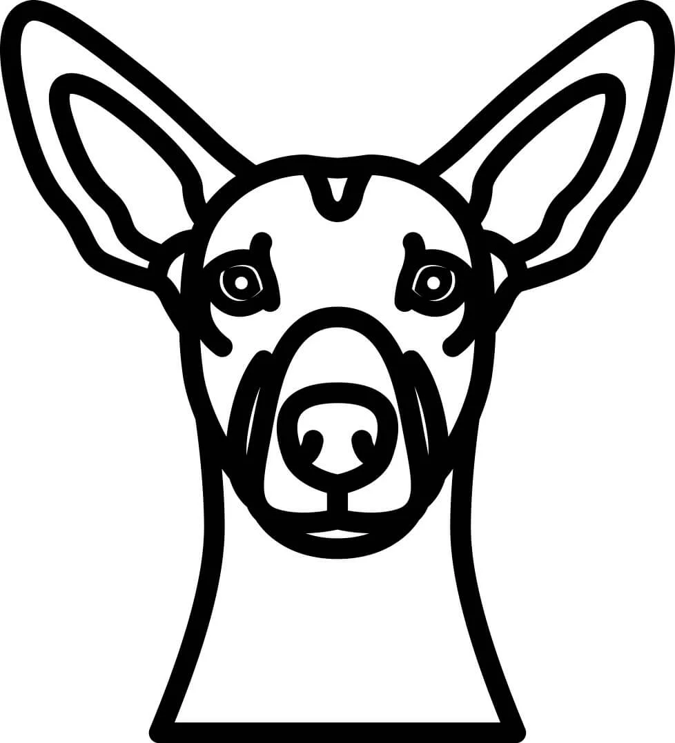 Vsepropejska Psí dekorace na zeď Plemeno: Naháč