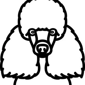 Vsepropejska Psí dekorace na zeď Plemeno: Pudl