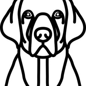 Vsepropejska Psí dekorace na zeď Plemeno: Retrívr