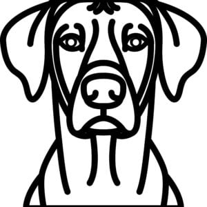 Vsepropejska Psí dekorace na zeď Plemeno: Ridgeback