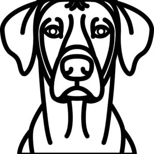 Vsepropejska Psí dekorace na zeď Plemeno: Ridgeback