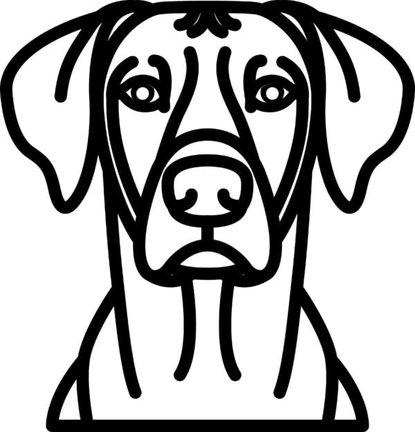 Vsepropejska Psí dekorace na zeď Plemeno: Ridgeback