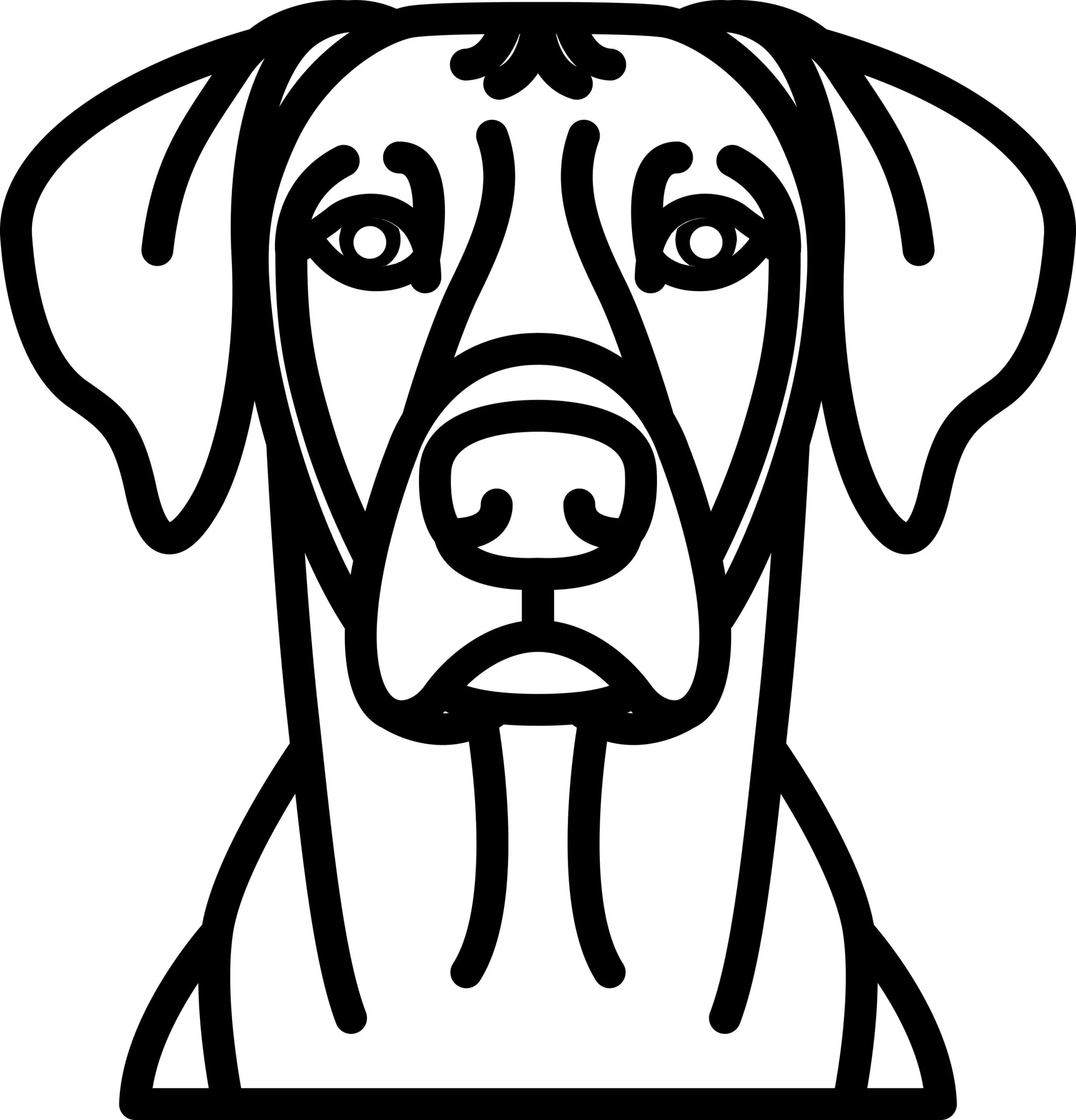 Vsepropejska Psí dekorace na zeď Plemeno: Ridgeback