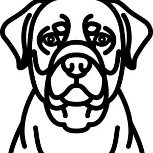 Vsepropejska Psí dekorace na zeď Plemeno: Rotvajler