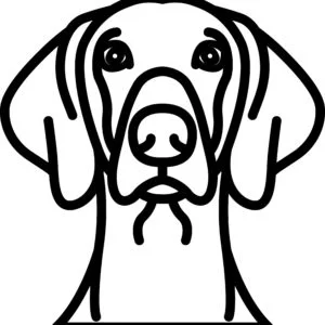 Vsepropejska Psí dekorace na zeď Plemeno: Výmarský ohař