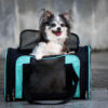 Berny taška pro psa | do 4 Kg Barva: Černo-zelená