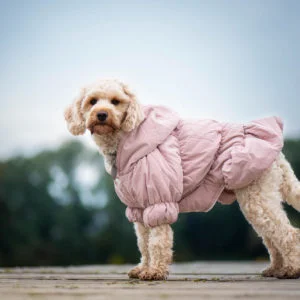 Vsepropejska Aida zimní bunda pro psa Barva: Růžová