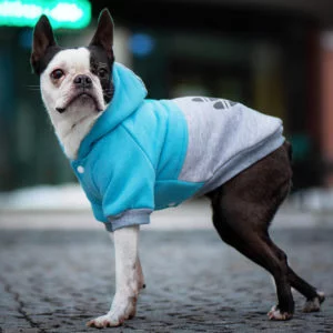 Vsepropejska Chimena sportovní zateplená mikina pro psa Barva: Modro-šedá