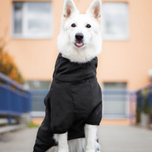 Vsepropejska Tais bunda pro psa na zip s reflexními prvky Barva: Černá