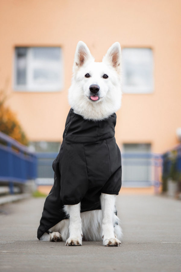Vsepropejska Tais bunda pro psa na zip s reflexními prvky Barva: Černá