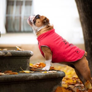 Vsepropejska Bulldog zimní bunda pro psa Barva: Červená