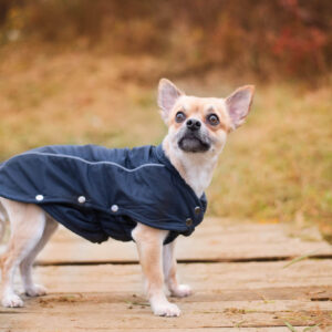 Vsepropejska Reflex zimní bunda pro psa Barva: Modrá