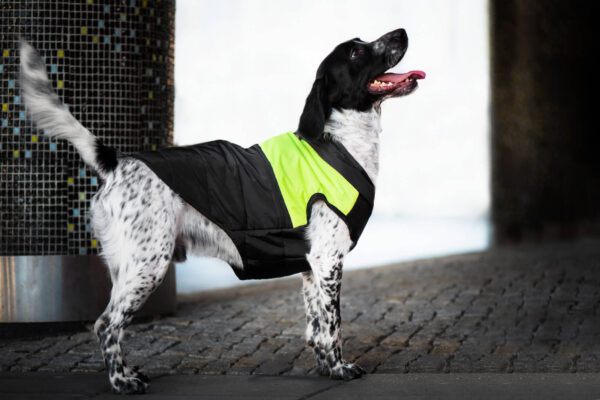 Vsepropejska Slim-rainy obleček pro psa na zip Barva: Černo-žlutá