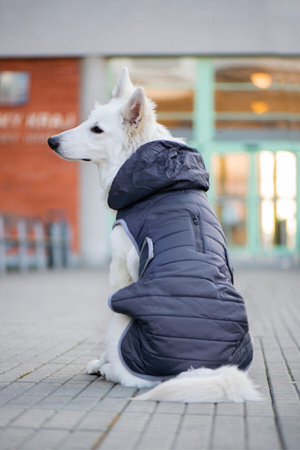 Vsepropejska Yogi zimní bunda pro psa Barva: Šedá