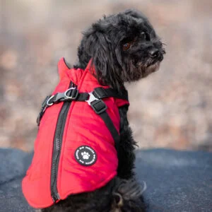 Vsepropejska Diamant zimní bunda pro psa s postrojem Barva: Červená