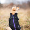 Vsepropejska Diamant zimní bunda pro psa s postrojem Barva: Černá
