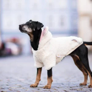 Vsepropejska Kira měkoučká mikina pro psa Barva: Bílá