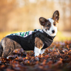 Vsepropejska Pinta zimní bunda pro psa s postrojem Barva: Růžová