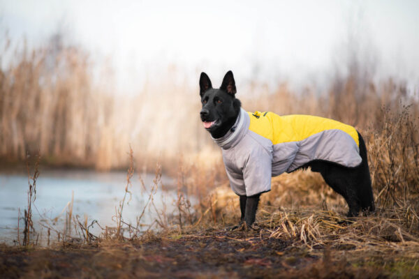Vsepropejska Plex zimní bunda pro psa Barva: Žlutá