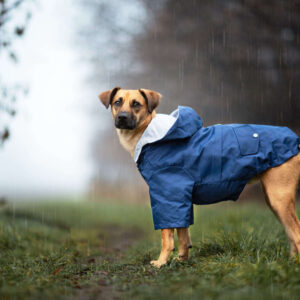 Vsepropejska Riska pláštěnka pro psa Barva: Modrá
