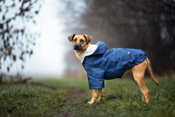 Vsepropejska Riska pláštěnka pro psa Barva: Modrá