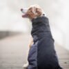 Vsepropejska Rosko zateplená bunda pro psa Barva: Černá