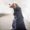 Vsepropejska Rosko zateplená bunda pro psa Barva: Černá