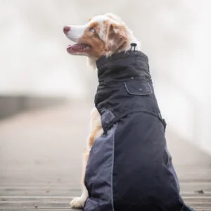 Vsepropejska Rosko zateplená bunda pro psa Barva: Černá