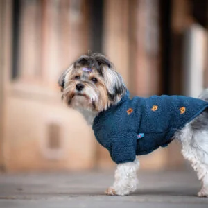 Vsepropejska Simon mikina pro psa s kapucí Barva: Modrá