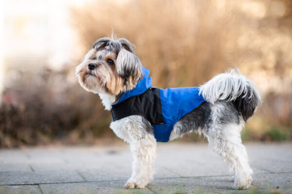 Vsepropejska Sindra zimní bunda pro psa Barva: Modrá