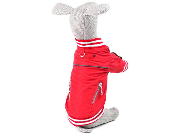 Vsepropejska Springy podzimní bunda pro psa Barva: Červená