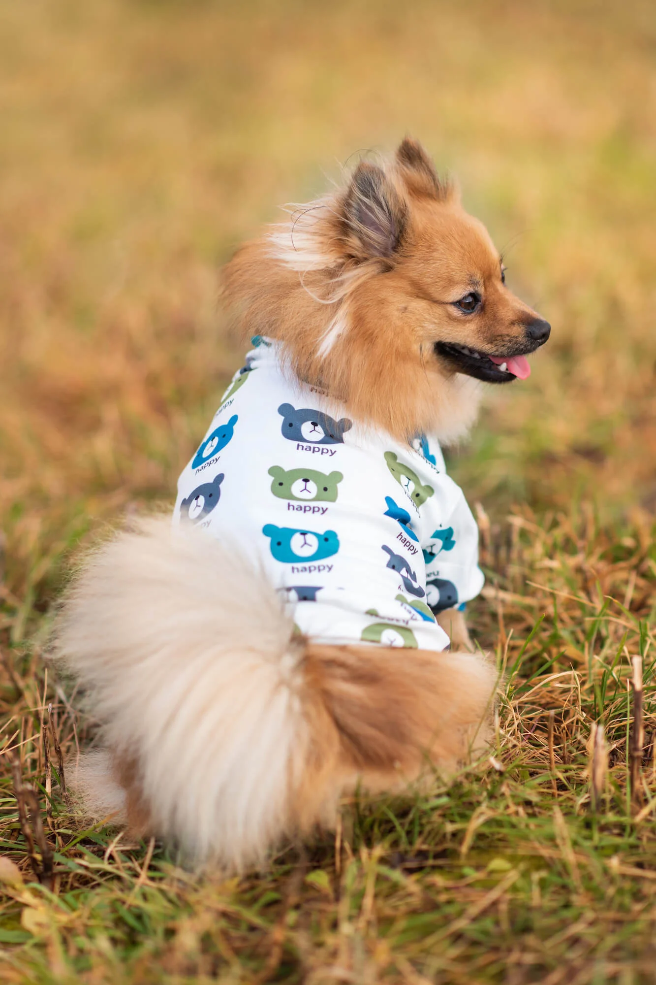 Vsepropejska Trux mikina pro psa Barva: Modrá