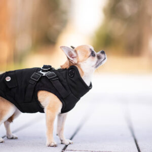 Vsepropejska Tulsi zimní bunda pro psa s postrojem Barva: Černá