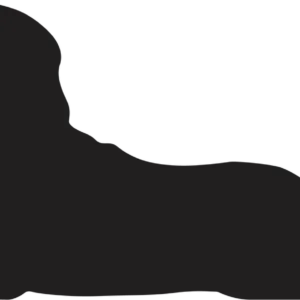 Vsepropejska Anglický špringeršpaněl dřevěná dekorace na zeď Rozměr (cm): 15 x 38