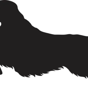 Vsepropejska Anglický špringeršpaněl dřevěná dekorace na zeď Rozměr (cm): 19 x 38