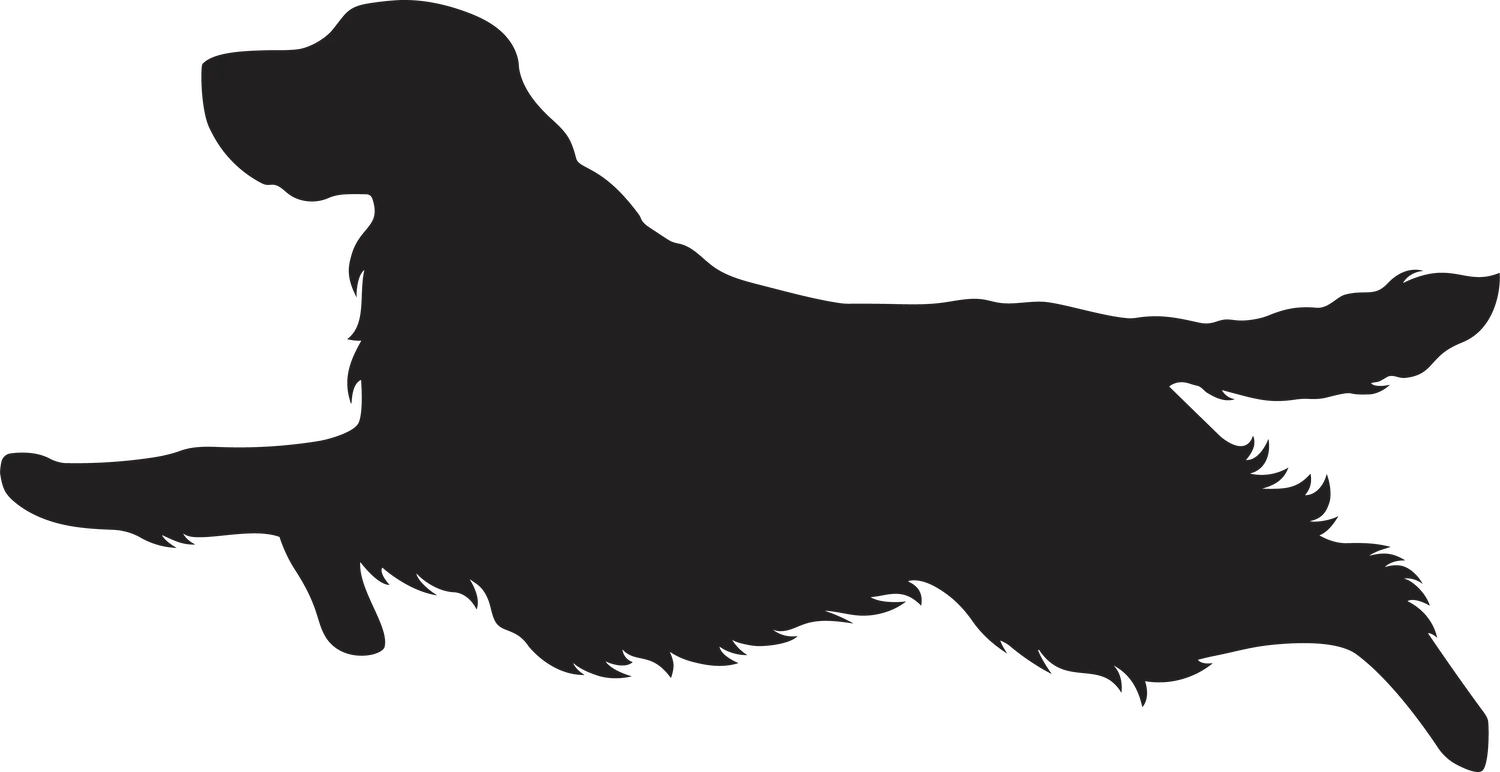 Vsepropejska Anglický špringeršpaněl dřevěná dekorace na zeď Rozměr (cm): 19 x 38